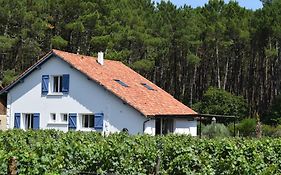 Evasion Cotiere Tranquillite Entre Foret Et Ocean
