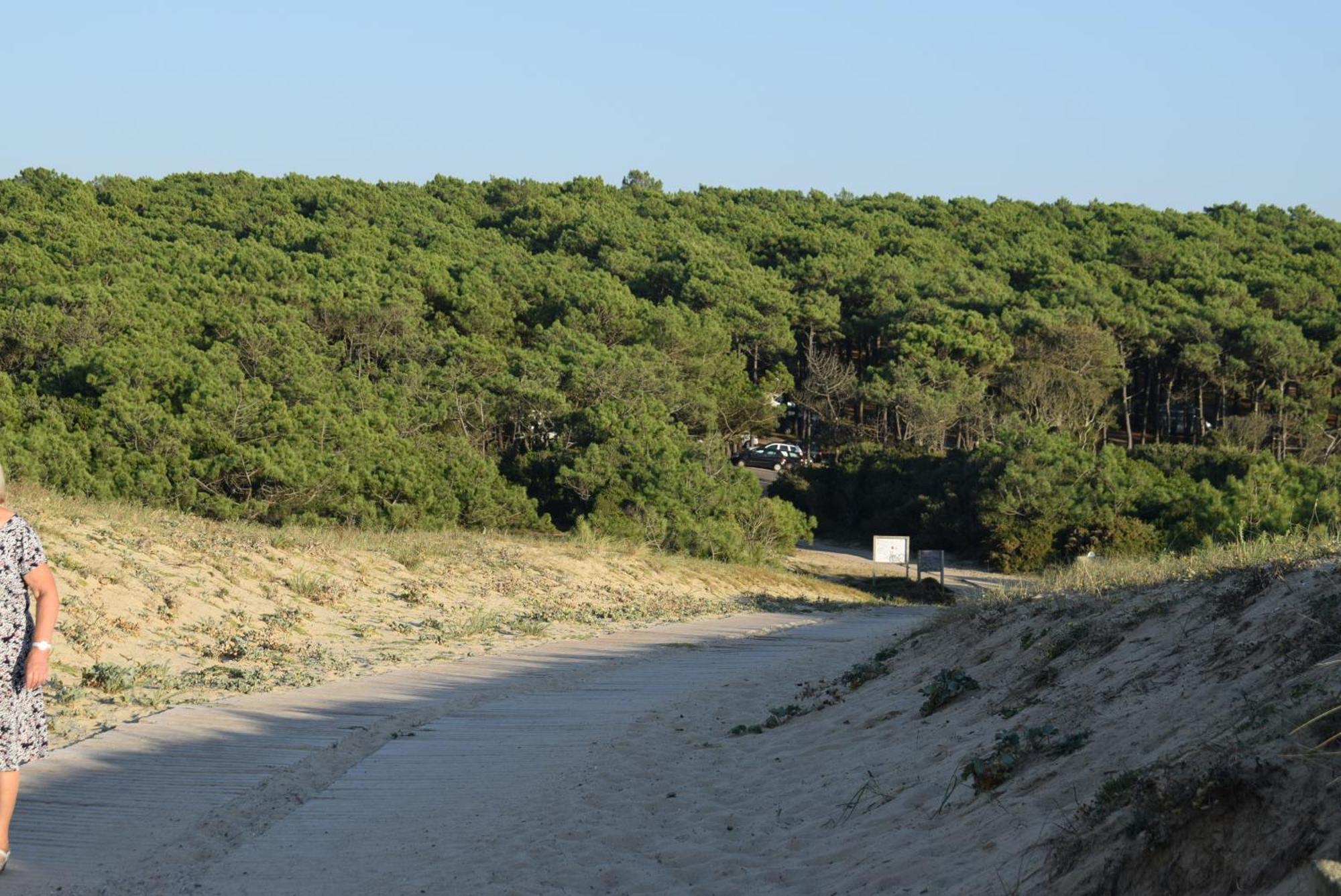 Evasion Cotiere Tranquillite Entre Foret Et Ocean Vielle-Saint-Girons Extérieur photo